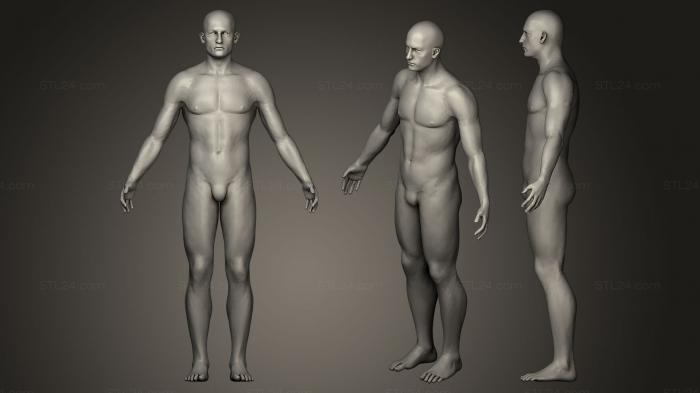 Статуэтки люди (Мужская анатомия человека, STKH_0030) 3D модель для ЧПУ станка